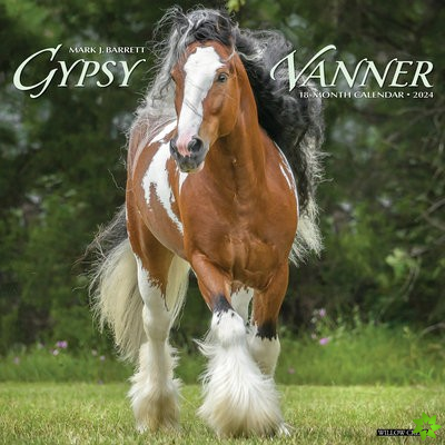 Gypsy Vanner Horse 2024 12 X 12 Wall Calendar