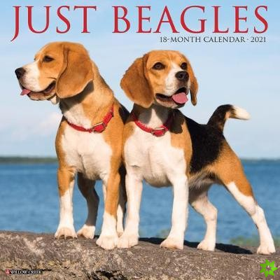 Just Beagles 2021 Wall Calendar (Dog Breed Calendar)