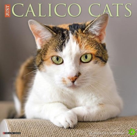 Just Calico Cats 2023 Wall Calendar
