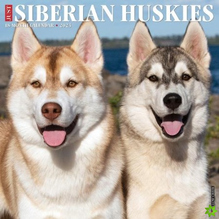Just Siberian Huskies 2023 Wall Calendar