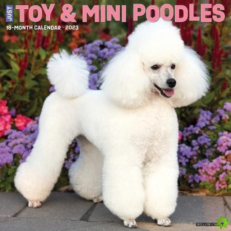 Just Toy & Miniature Poodles 2023 Wall Calendar