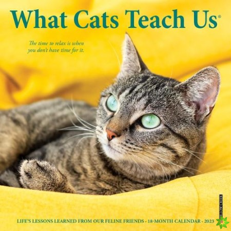 What Cats Teach Us 2023 Mini Wall Calendar