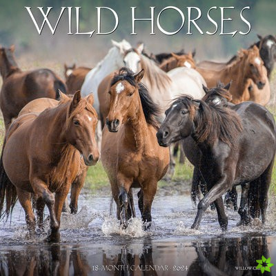 Wild Horses 2024 12 X 12 Wall Calendar