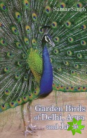 Garden Birds of Delhi, Agra & Jaipur