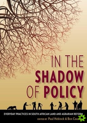 In the Shadow of Policy