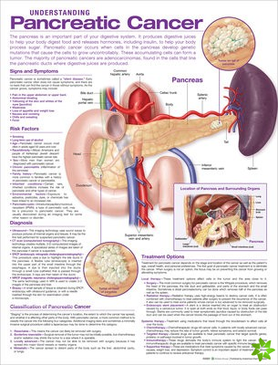Understanding Pancreatic Cancer Anatomical Chart