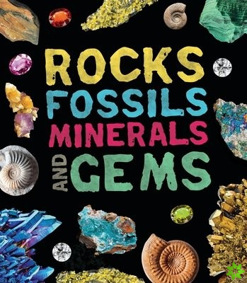 Rocks, Fossils, Minerals, and Gems