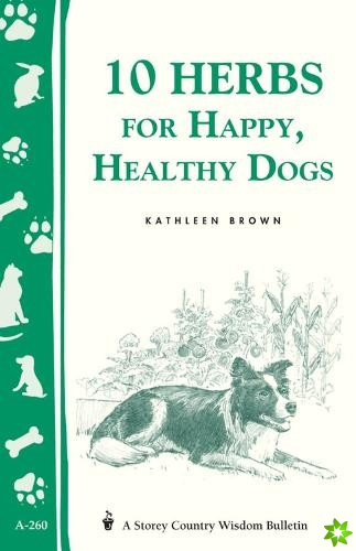 10 Herbs for Happy, Healthy Dogs