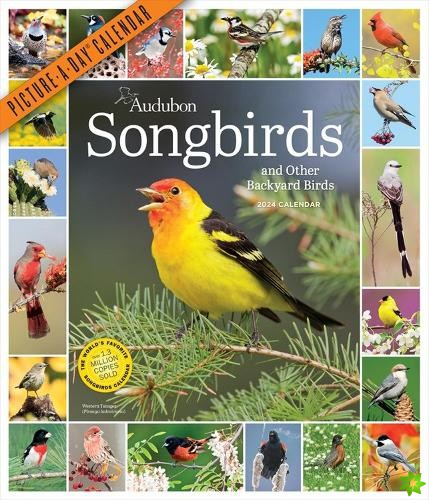 Audubon Songbirds and Other Backyard Birds Picture-A-Day Wall Calendar 2024