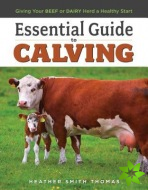 Essential Guide to Calving