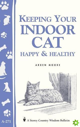 Keeping Your Indoor Cat Happy & Healthy