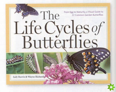 Life Cycles of Butterflies