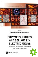 Polymers, Liquids And Colloids In Electric Fields: Interfacial Instabilites, Orientation And Phase Transitions