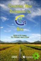 Charting New Pathways To C4 Rice