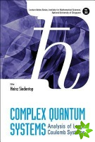 Complex Quantum Systems: Analysis Of Large Coulomb Systems