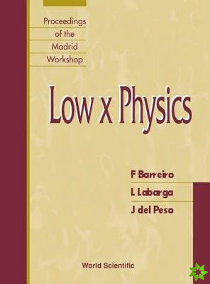 Low X Physics - Proceedings Of The Madrid Workshop