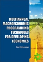 Multiannual Macroeconomic Programming Techniques For Developing Economies
