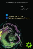 Open Issues In Core Collapse Supernova Theory