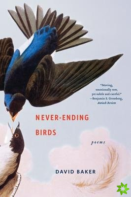 Never-Ending Birds