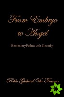 From Embryo to Angel