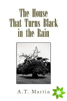 House That Turns Black in the Rain