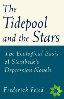 Tidepool and the Stars