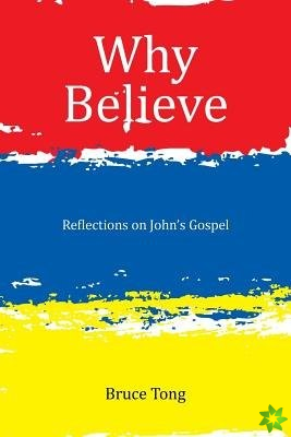 Why Believe: Reflections on John's Gospel