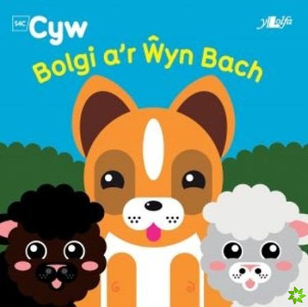 Cyfres Cyw: Bolgi a'r Wyn Bach