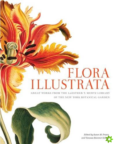 Flora Illustrata