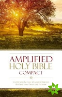 Amplified Holy Bible, Compact, Hardcover