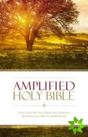Amplified Holy Bible, Paperback