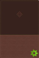 Amplified Study Bible, Leathersoft, Brown