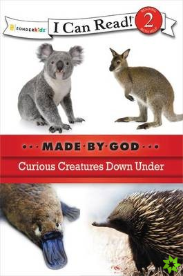 Curious Creatures Down Under