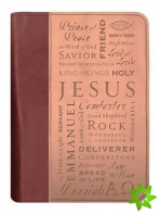 Names of Jesus Bible Cover, Zippered, Italian Duo-Tone Imitation Leather, Brown/Tan, Extra Large