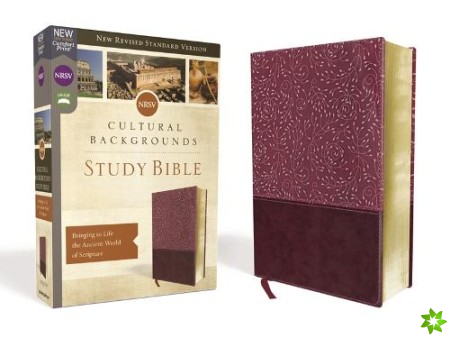 NRSV, Cultural Backgrounds Study Bible, Leathersoft, Burgundy, Comfort Print