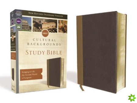 NRSV, Cultural Backgrounds Study Bible, Leathersoft, Tan/Brown, Comfort Print