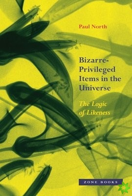 BizarrePrivileged Items in the Universe  The Logic of Likeness