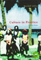 Culture in Practice